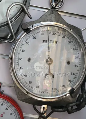 Salter Double Face Spring Balance 200kg