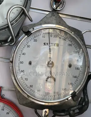 Salter Double Face Spring/ Hanging Balance 200kg