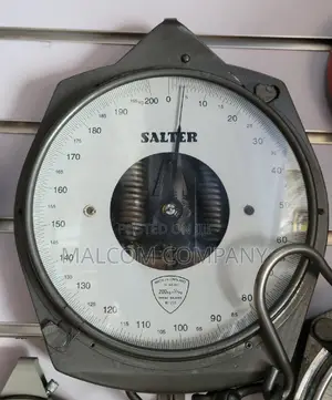 Salter Double Face Spring Balance 200kg