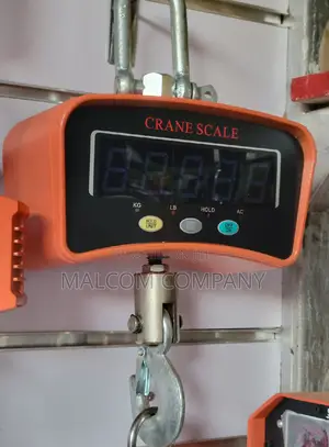 1000kg Digital Weighing Crane Scale