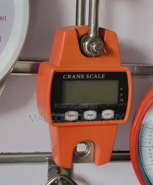 Digital Crane Scale 300kg