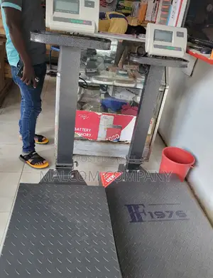 Foldable Platform Weighing Scale Balance 600kg