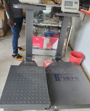 Foldable Platform Weighing Scale Balance 600kg