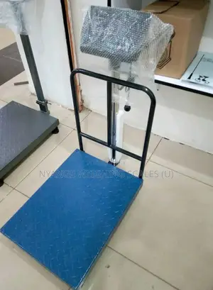 300kg Digital Platform Bench Type Scales