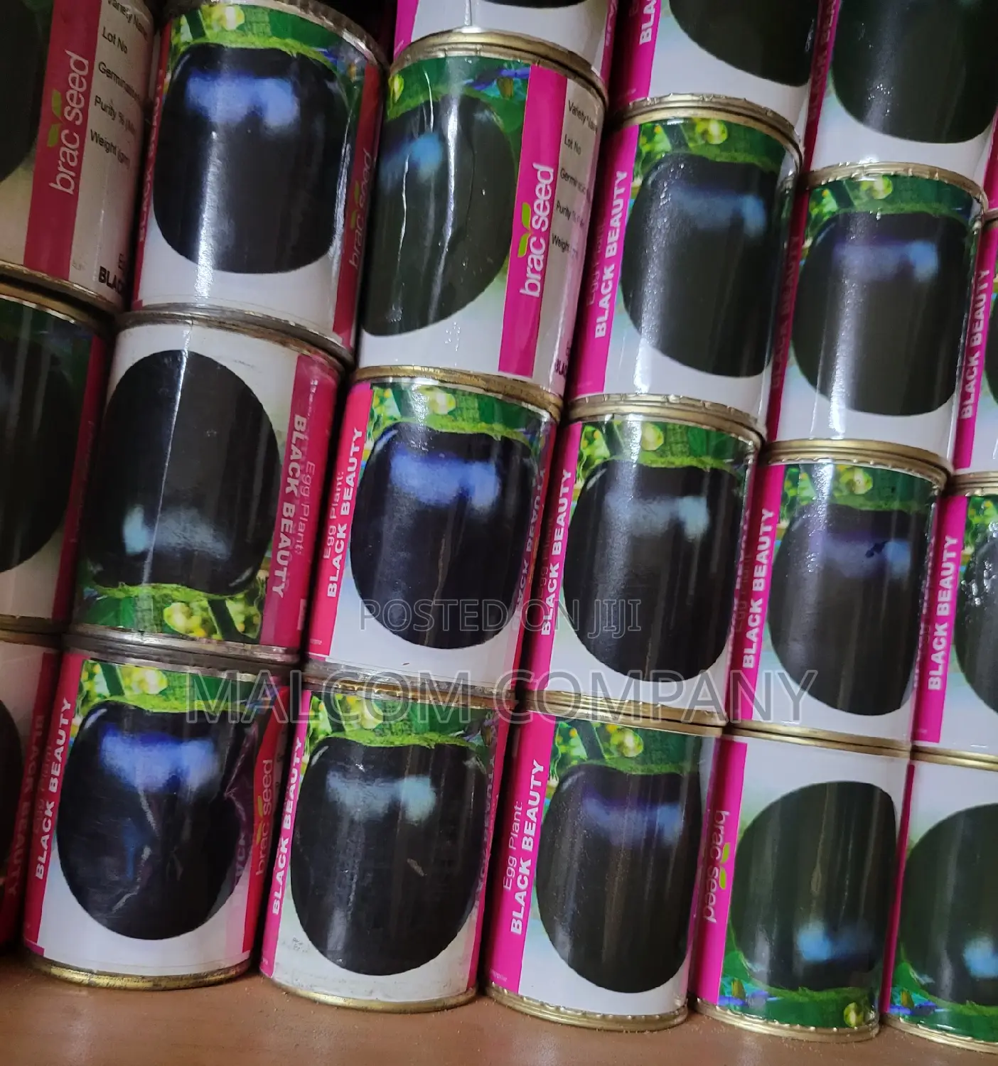 Black Beauty Egg Plant Seeds 50g
