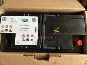 Din100 Jaguar Battery