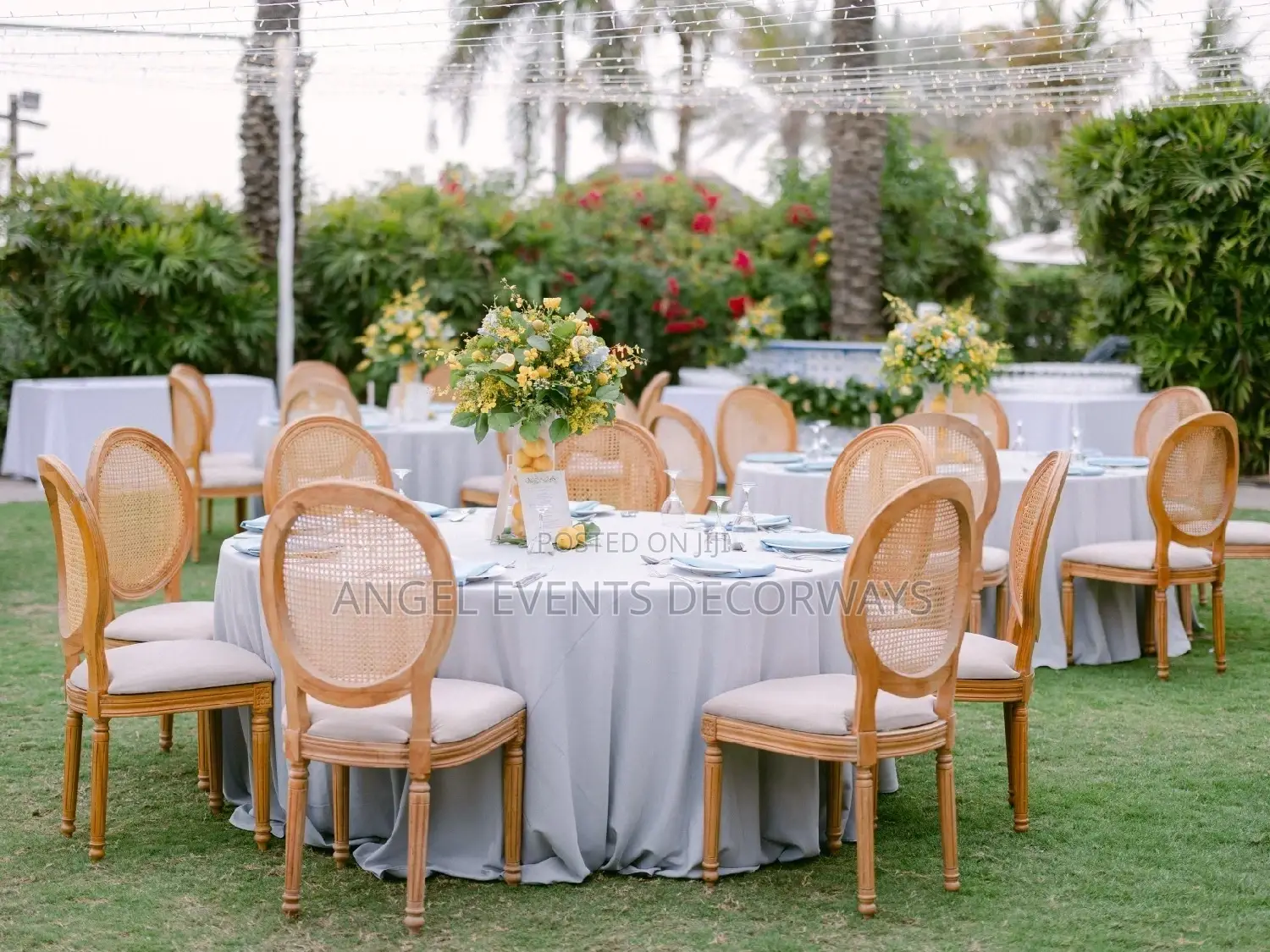 Party Decor and Management