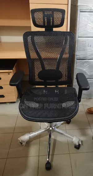Executive Director Office Chair Orthopedic