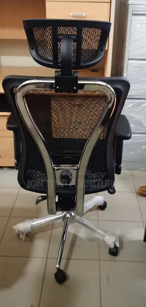 Executive Director Office Chair Orthopedic