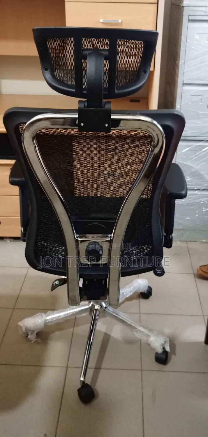 Executive Director Office Chair Orthopedic