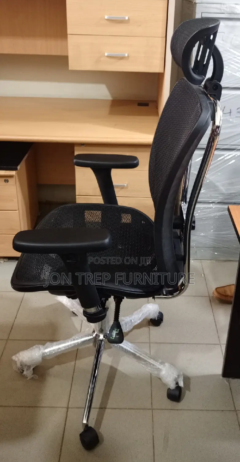 Executive Director Office Chair Orthopedic