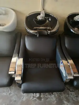 Hair Washing Basin Sink