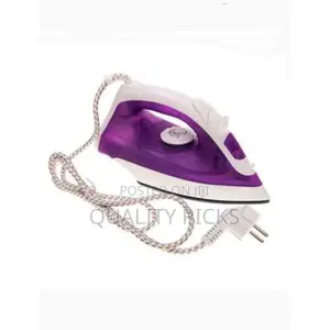 Electric Steamer Iron