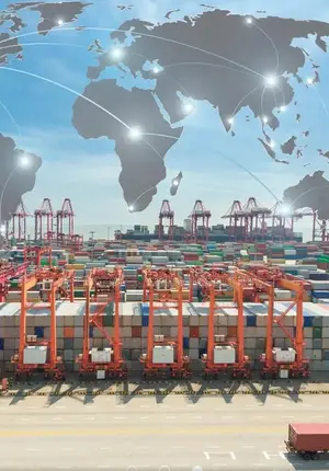 Customs Clearing, Forwarding/Shipping Agent