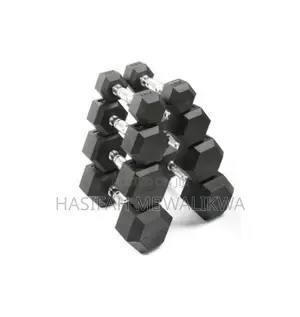 A Pair of 10kgs Dumbbells