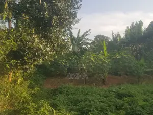 Plot on Sell