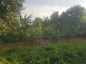 Plot on Sell