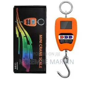 200kg Mini Crane Digital Scale.