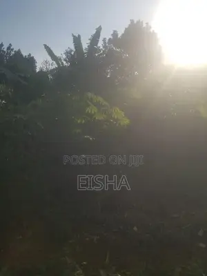 Plot on Sell