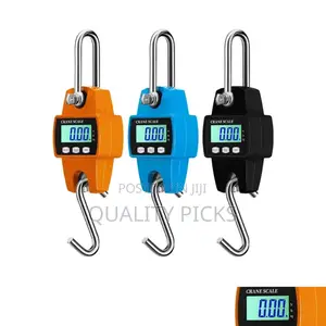 Mini Crane Weighing Scale