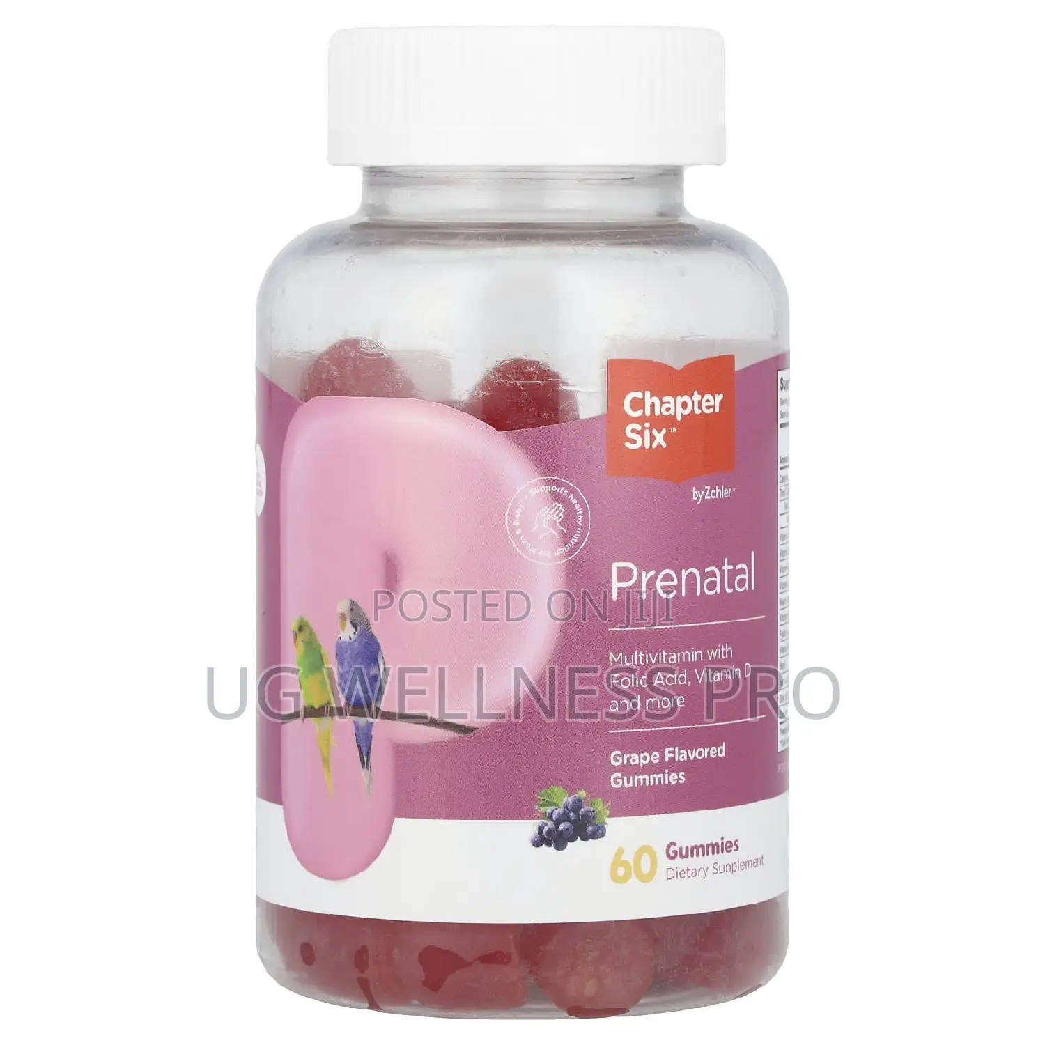 Chapter Six, Prenatal Gummies, Grape, 60 Gummies