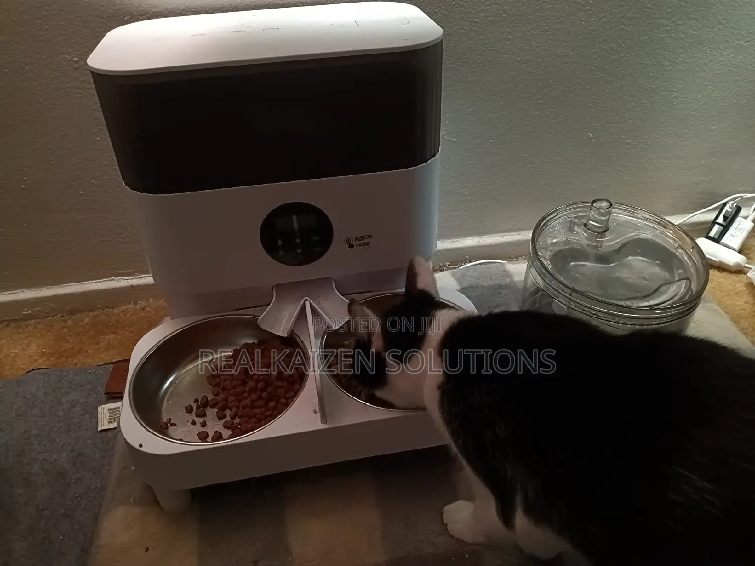 Automatic 5L Pet Feeders Dispenser With Double Bowls
