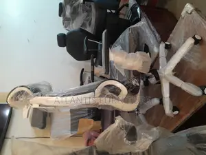 White Back Orgonomic Office Chair
