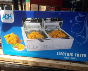 Deep Fryer Double Electric 12L