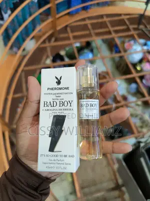 Bad Boy Mini Tester/Bad Boy Perfume/Bad Boy Tester Perfume