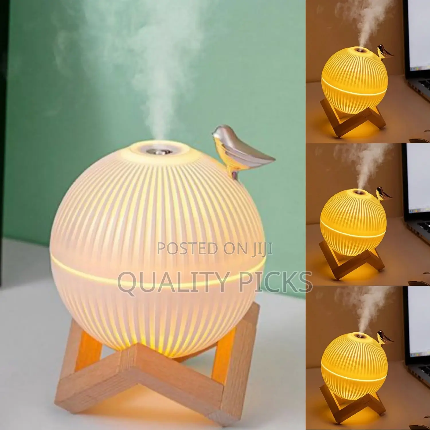 Paragon Portable Humidifier