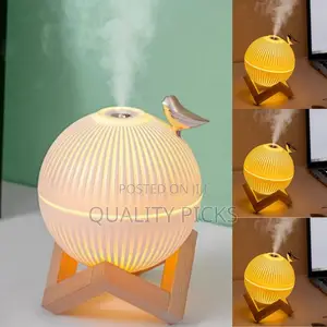 Paragon Portable Humidifier
