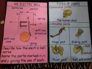 School Manilla Charts