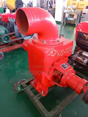 Ns-150 Water Pump (6inch)