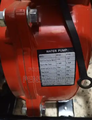 Irrigation Pump (High Pressure)