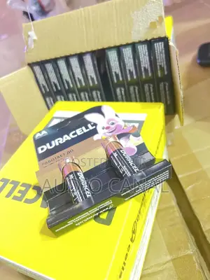 AA Alcaline Batteries