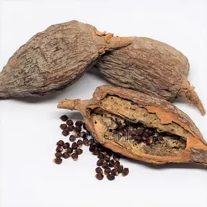 Alligator Pepper Pod 1