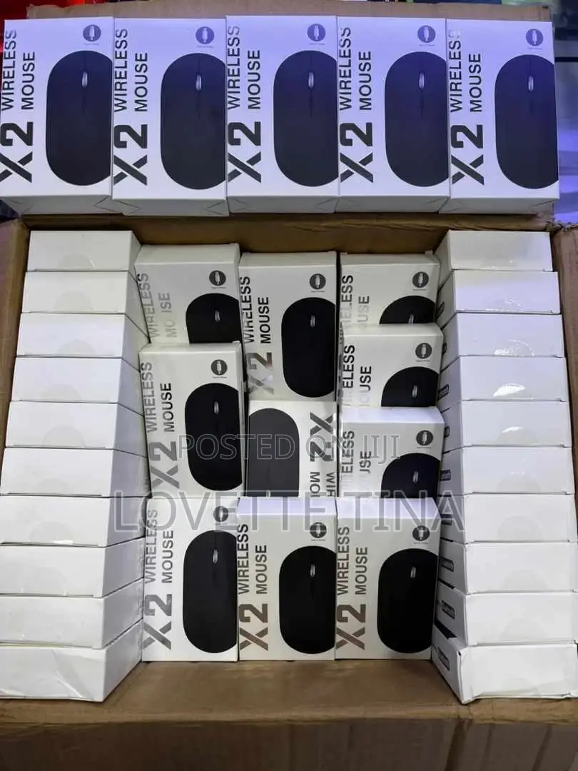 Bluetooth Wireless Mouse X2