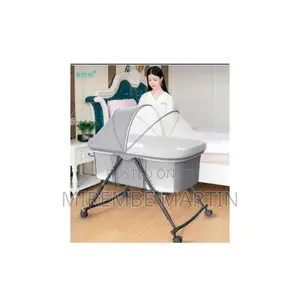 Baby's Portable Electric Bassinet Bed.