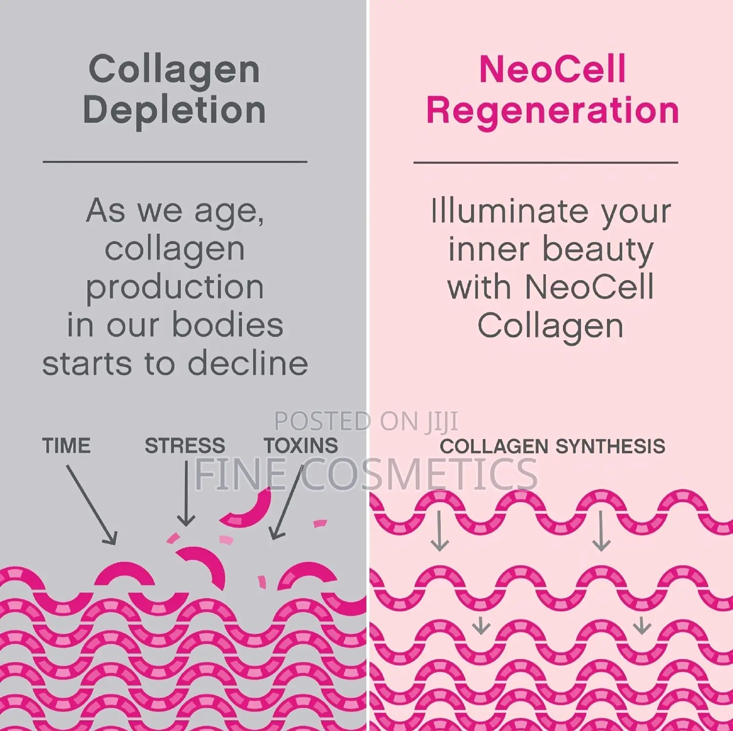 SUPER COLLAGEN PEPTIDES POWDER for Skin, Hair, Nails + Joint