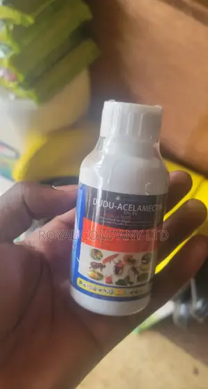 Bed Bug/Dudu Accelamacetin