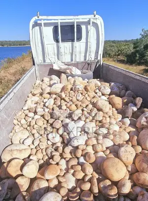 White Stones