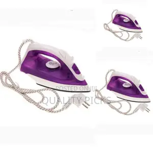 Brand Electric Steamer Iron