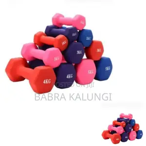 A Pair of Vinyl Dumbbells