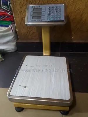 60kg Electronic Package TCS Fair Weighing Scale
