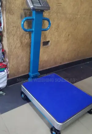 600kg Electronic Heavy Duty TCS Fair Weighing Scale [2]