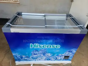 310 Liters Hisense Ice Cream Display Freezer