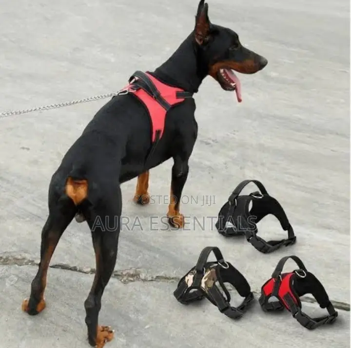 Durable Reflective Pet Dog Harness