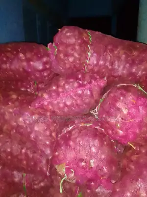 Onions On Sale
