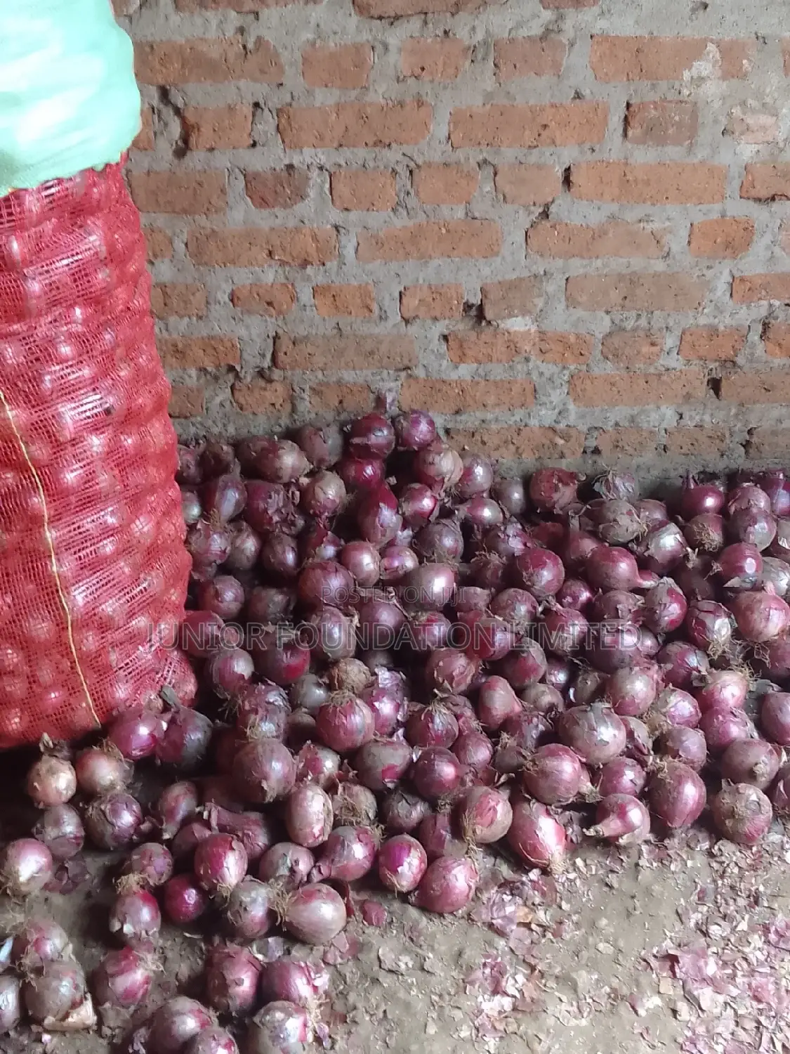 Onions On Sale