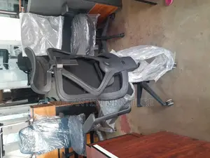 Buetiful Orgonomic Chair With Adjustable Arms